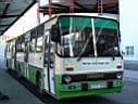 Vertes_AOC-066_2.JPG