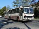 Vertes_BCK-831.JPG