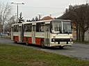 Vertes_GEW-055_2.JPG