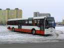 Vertes_JIT-683_2.JPG